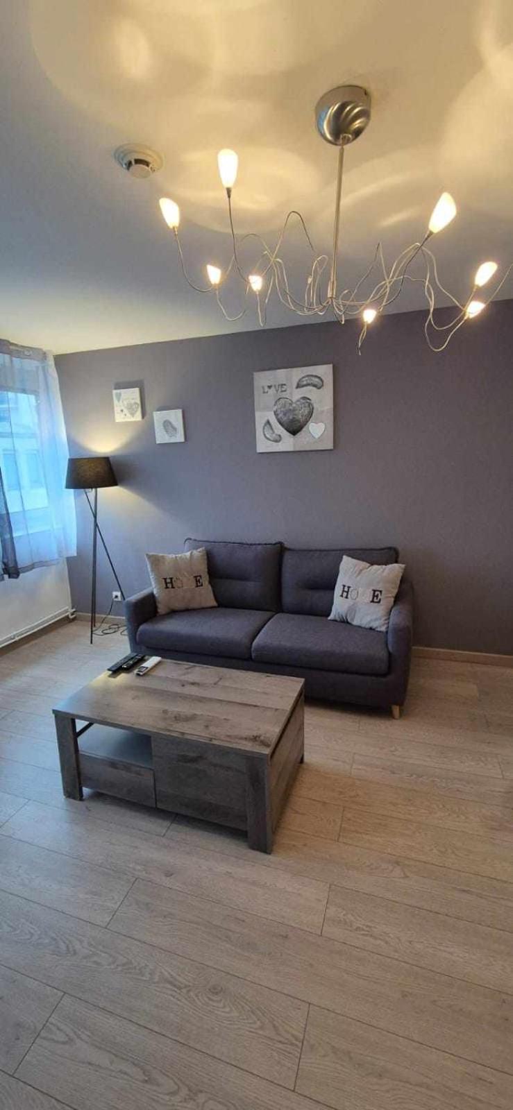 Nouveau !! Appartement Confortable Totalement Renove Avec Parking Gratuit - Hypercentre De Нанси Экстерьер фото